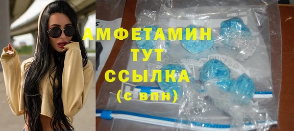 гидра Аркадак
