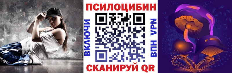 где можно купить   Рудня  Псилоцибиновые грибы MAGIC MUSHROOMS 